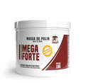 MEGA FORTE 1 MASSA DE POLIR 1KG LINCOLN
